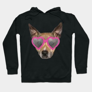 Pitbull with Heart Glasses Hoodie